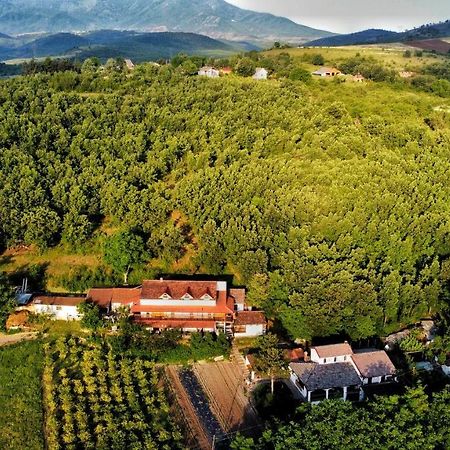 Twins V.V.T Hostel Oresani Dış mekan fotoğraf