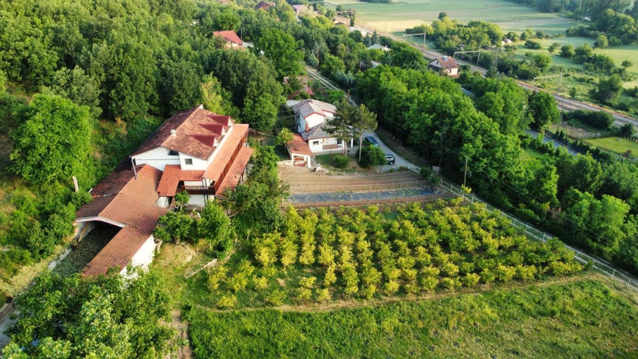 Twins V.V.T Hostel Oresani Dış mekan fotoğraf